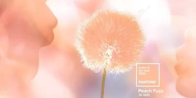 Peach Fuzz- Gam màu của năm 2024.