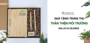 Read more about the article Gợi Ý Quà Tặng Trung Thu Thân Thiện Môi Trường Giá Chỉ Từ 30k