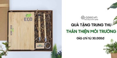 Gợi Ý Quà Tặng Trung Thu Thân Thiện Môi Trường Giá Chỉ Từ 30k