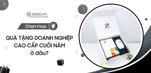 Read more about the article Chọn Mua Quà Tặng Doanh Nghiệp Cao Cấp Cuối Năm Ở Đâu?