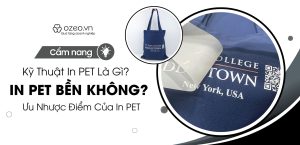 Read more about the article Kỹ Thuật In Pet Là Gì? In Pet Có Bền Không? Ưu Nhược Điểm In Pet