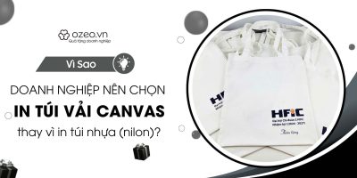 Tại Sao Doanh Nghiệp Nên Chọn In Túi Vải Canvas Thay Vì Túi Nhựa?