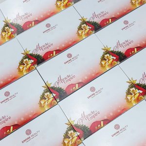 Set Hộp Ly Giữ Nhiệt In Logo Hình Ảnh Quà Tặng Giáng Sinh-HL01